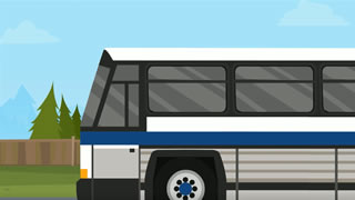 Football fan coach